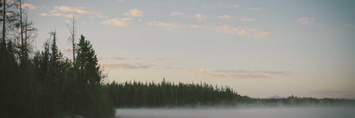 Tanger Med Tech